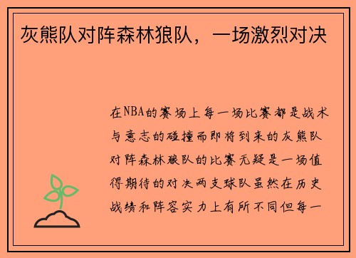 灰熊队对阵森林狼队，一场激烈对决